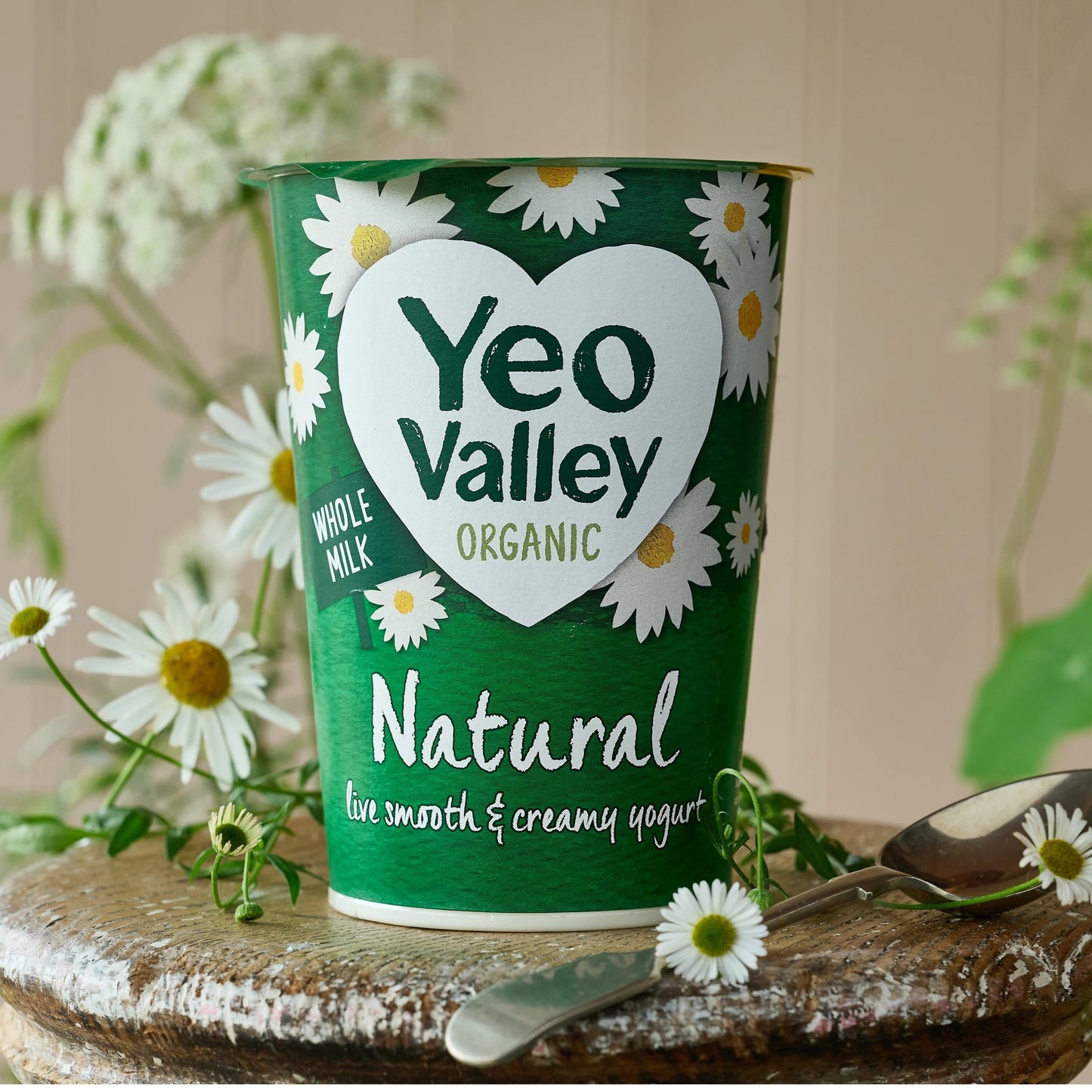 Yeo Valley Organic Natural Yoghurt, 450g