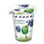 Bio WiesenMilch Organic Blueberry Fruit Yogurt, 150g